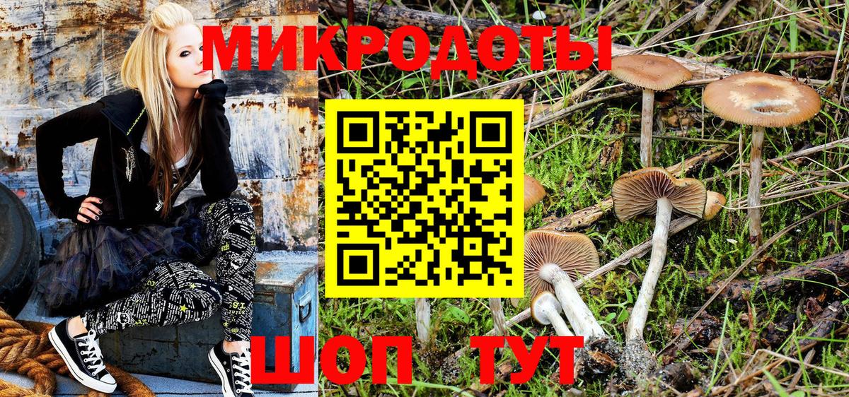 Новоуральск  Галлюциногенные грибы мухоморы  где можно купить наркотик  Вход с VPN  Галлюциногенные грибы мухоморы 